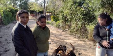 Corrientes: Denuncian a un depravado por “mostrar el pene” a niñas del barrio