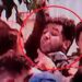 Armas blancas y un auto sin patente: los antecedentes del hombre que atacó a Cristina Kirchner