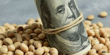 Nuevo dólar soja: durante septiembre estará a $200 y la tonelada cotizará arriba de los $70 mil