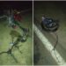 Goya: motociclista de 22 años murió tras chocar contra una camioneta