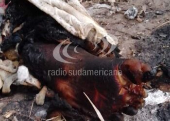 Macabro hallazgo: encontraron una pierna humana en un basural