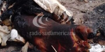 Macabro hallazgo: encontraron una pierna humana en un basural