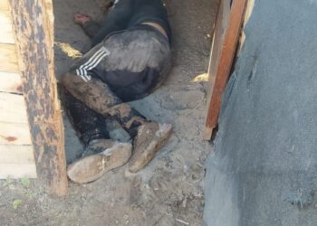 Goya: quiso robar un ternero y al ser descubierto se ocultó en un gallinero