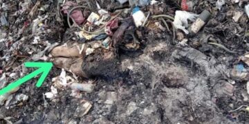 Corrientes: hallan en un basural el cadáver calcinado de un hombre
