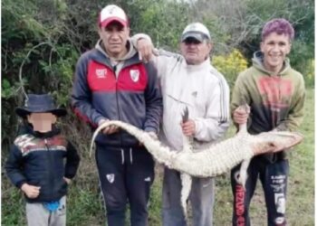 Libres: Masacraron un yacaré y los identificaron por las redes