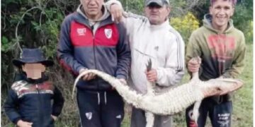 Libres: Masacraron un yacaré y los identificaron por las redes