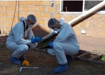 Entró a robar a una casa y murió: creen que fue atacado por un perro y luego lo lincharon
