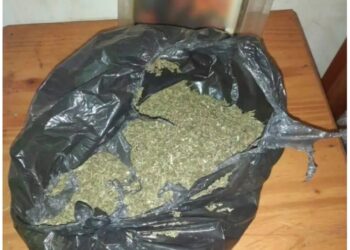 Desbarataron una banda narco que operaba en Corrientes y Misiones