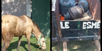 Llevaban garrafas robadas en un carro y huyeron dejando a un niño de 3 años