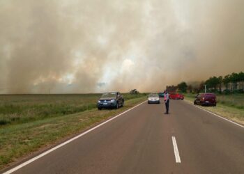 Incendio entre Ituzaningó Corrientes y Villa Olivari provocó corte total de la Ruta Nacional 12