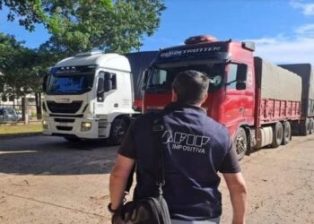 Secuestraron 180 toneladas de soja valuados en una cifra millonaria