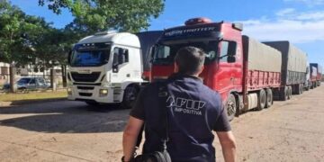 Secuestraron 180 toneladas de soja valuados en una cifra millonaria