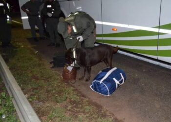 Corrientes: coordinador de viajes llevaba 15 kilos droga en su bolso
