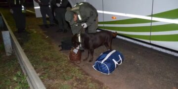 Corrientes: coordinador de viajes llevaba 15 kilos droga en su bolso