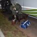 Corrientes: coordinador de viajes llevaba 15 kilos droga en su bolso