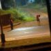 Filmaron a una supuesta “mujer poseída” en Misiones