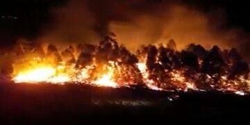 Corrientes: otro incendio intencional de pastizales se extendió a una forestación