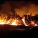 Corrientes: otro incendio intencional de pastizales se extendió a una forestación
