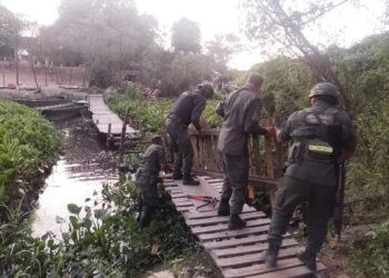 Desarman nueve puentes clandestinos para cruzar al Paraguay