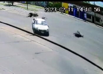 Feroz accidente en Corrientes: el conductor de la camioneta huyó