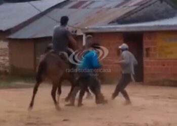 Isla Apipé: 4 hombres se trenzaron a “rebencazos” y golpes de puños