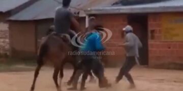 Isla Apipé: 4 hombres se trenzaron a “rebencazos” y golpes de puños