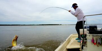 Desde este martes rige una nueva veda extraordinaria de pesca