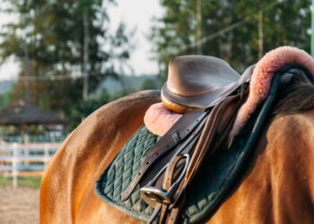 Una nena de 9 años murió tras caer de un caballo en Santo Tomé
