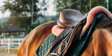 Una nena de 9 años murió tras caer de un caballo en Santo Tomé