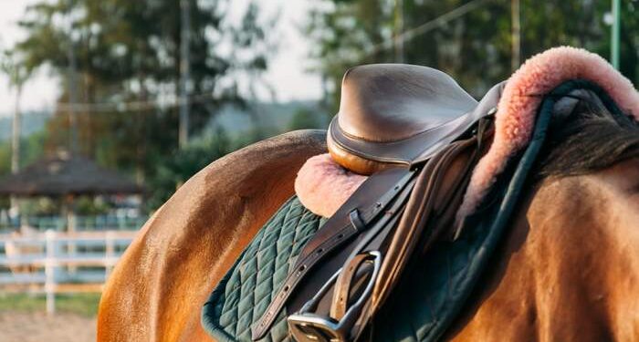 Una nena de 9 años murió tras caer de un caballo en Santo Tomé