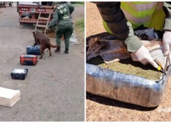 Corrientes: decomisan más de 9 kilos de droga oculta en encomiendas