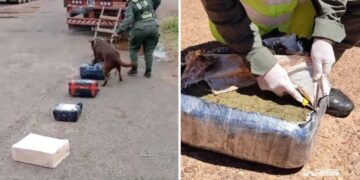 Corrientes: decomisan más de 9 kilos de droga oculta en encomiendas