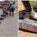 Corrientes: decomisan más de 9 kilos de droga oculta en encomiendas