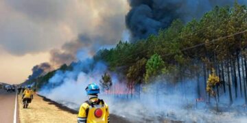 Corrientes: cómo denunciar la quema de pastizales en la región
