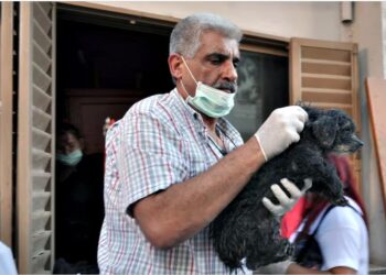 Quién era Jorge De Marco, el empresario que amaba a los animales y fue asesinado en San Isidro