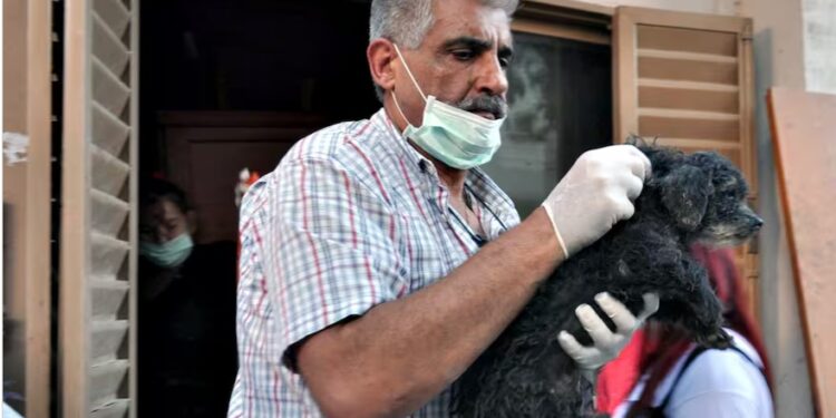 Quién era Jorge De Marco, el empresario que amaba a los animales y fue asesinado en San Isidro