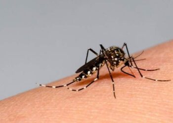 Córdoba: dos personas murieron en la calle por dengue