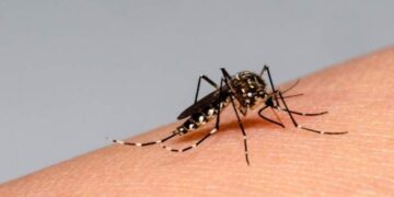 Córdoba: dos personas murieron en la calle por dengue