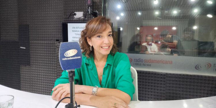 Boleta Única de Papel: “El elector deberá estar más informado”