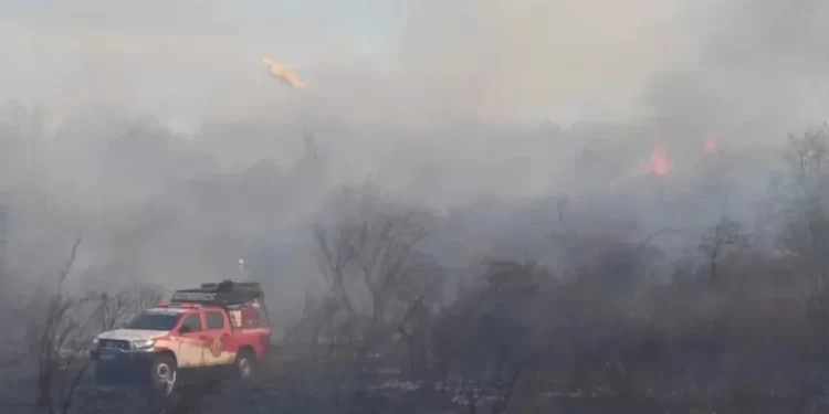 La Niña está por llegar a la Argentina: se esperan fuertes sequías y un clima fuera de lo normal