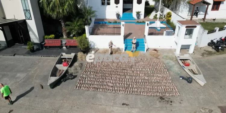 Impresionante golpe contra la pesca ilegal en el interior de Corrientes