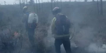 Mocoretá: incendio forestal consumió 10 hectáreas de una ex citrícola