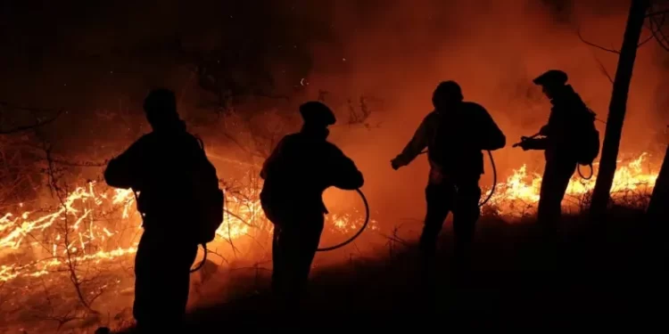 Córdoba: aún hay cinco focos activos y unos 800 bomberos trabajaron durante la madrugada