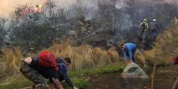 El Presupuesto 2025 incluye la menor suma histórica para proteger los bosques nativos