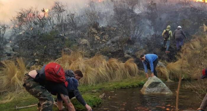 El Presupuesto 2025 incluye la menor suma histórica para proteger los bosques nativos