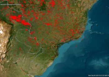 Incendios: “Hay aproximadamente 4 millones de hectáreas afectadas”