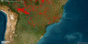 Incendios: “Hay aproximadamente 4 millones de hectáreas afectadas”