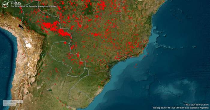 Incendios: “Hay aproximadamente 4 millones de hectáreas afectadas”