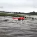 Video viral: Gauchos correntinos salvan ganado en el río Uruguay