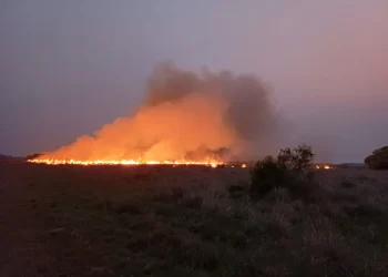 Bomberos llaman a la concientización de la comunidad para evitar incendios de pastizales